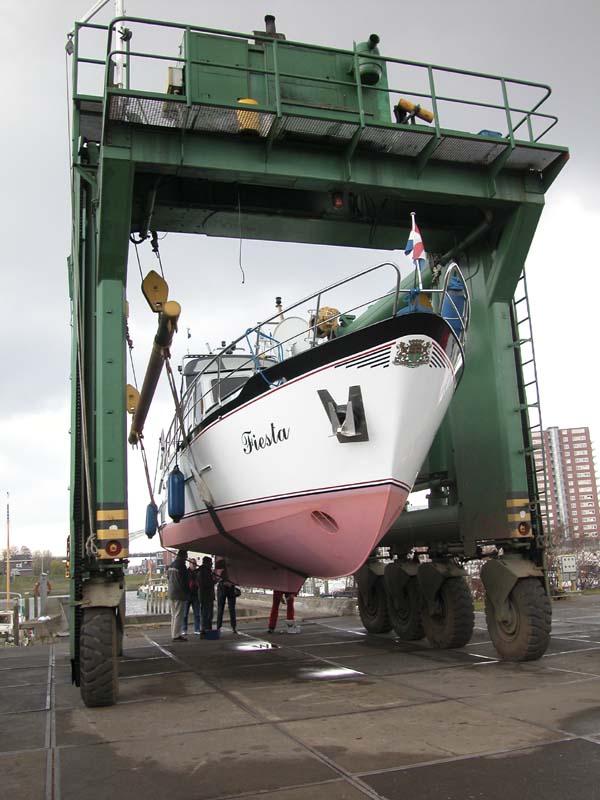 10_Haulout_for_survey